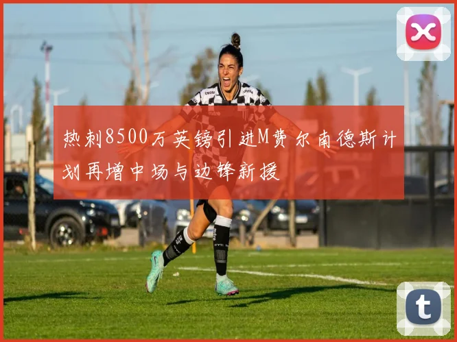 热刺8500万英镑引进M费尔南德斯计划再增中场与边锋新援